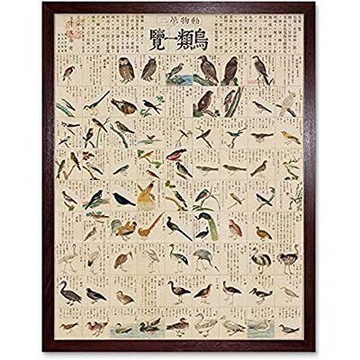 Artery8 Kato Chikusai Species of Birds Japanese Unframed Wall Art Print Poster Home Decor Premium Artery8 Kato Chikusai Species of Birds Japanese Unframed Wall Art Print Poster Home Decor Premium