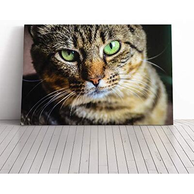 Big Box Art Green Eyed Cat (2) Canvas Print Gallery Wrapped 30mm Frame Wall Art 24x16 inches Ready to Hang Modern Animals Picture Living Room Bedroom Lounge Office Big Box Art Green Eyed Cat (2) Canvas Print Gallery Wrapped 30mm Frame Wall Art 24x16 inches Ready to Hang Modern Animals Picture Living Room Bedroom Lounge Office