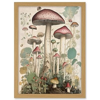 Artery8 Mushroom Fungi Botanical Page Photograph Vintage Cottagecore Rustic Aesthetic Kitchen Artwork Framed A3 Wall Art Print Artery8 Mushroom Fungi Botanical Page Photograph Vintage Cottagecore Rustic Aesthetic Kitchen Artwork Framed A3 Wall Art Print