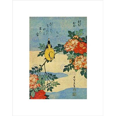 Wee Blue Coo PAINTING ANIMALS BIRD YELLOW FINCH FLOWERS JAPANESE JAPAN FRAMED PRINT B12X11662 Wee Blue Coo PAINTING ANIMALS BIRD YELLOW FINCH FLOWERS JAPANESE JAPAN FRAMED PRINT B12X11662