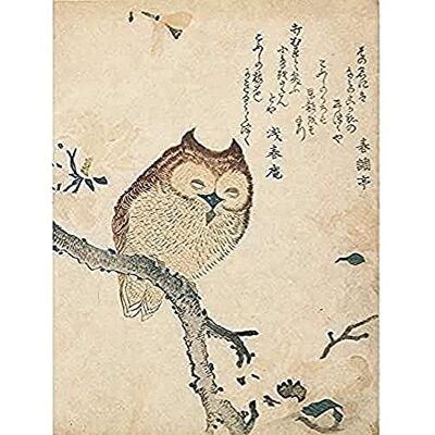 Fine Art Prints Horned Owl Flowering Branch Kubo Shunman Art Print Canvas Premium Wall Decor Poster Mural Fine Art Prints Horned Owl Flowering Branch Kubo Shunman Art Print Canvas Premium Wall Decor Poster Mural