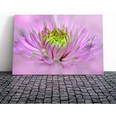 Big Box Art Canvas Print Wall Art Flower Pink Dahlia (2) Mounted and Stretched Box Frame Picture Home Decor for Kitchen, Living, Dining Room, Bedroom, Hallway, Multi-Colour, 20x14 Inch Big Box Art Canvas Print Wall Art Flower Pink Dahlia (2) Mounted and Stretched Box Frame Picture Home Decor for Kitchen, Living, Dining Room, Bedroom, Hallway, Multi-Colour, 20x14 Inch