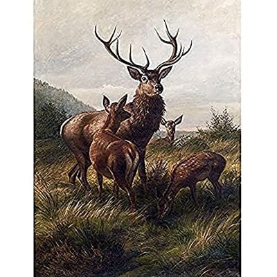 Fine Art Prints Deiker Stag Deer Antlers Doe Animal Nature Painting Art Print Canvas Premium Wall Decor Poster Mural Fine Art Prints Deiker Stag Deer Antlers Doe Animal Nature Painting Art Print Canvas Premium Wall Decor Poster Mural