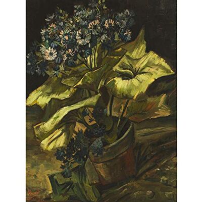 Fine Art Prints Vincent Van Gogh Cineraria Large Wall Art Print Canvas Premium Poster Mural Fine Art Prints Vincent Van Gogh Cineraria Large Wall Art Print Canvas Premium Poster Mural