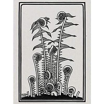 Artery8 Julie De Graag Ferns Plants Nature 1920 Art Print Canvas Premium Wall Decor Poster Mural Artery8 Julie De Graag Ferns Plants Nature 1920 Art Print Canvas Premium Wall Decor Poster Mural