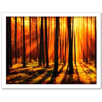 Artery8 Forest Sunset Nature Photograph Artwork Framed Wall Art Print 18X24 Inch Artery8 Forest Sunset Nature Photograph Artwork Framed Wall Art Print 18X24 Inch