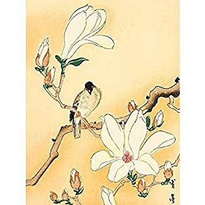 Fine Art Prints Seitei Bird Magnolia Branch Japanese Painting Unframed Wall Art Print Poster Home Decor Premium Fine Art Prints Seitei Bird Magnolia Branch Japanese Painting Unframed Wall Art Print Poster Home Decor Premium
