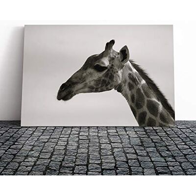 Big Box Art Canvas Print Wall Art Giraffe 5 Mounted and Stretched Box Frame Picture Home Decor for Kitchen, Living, Dining Room, Bedroom, Hallway, Multi-Colour, 20x14 Inch Big Box Art Canvas Print Wall Art Giraffe 5 Mounted and Stretched Box Frame Picture Home Decor for Kitchen, Living, Dining Room, Bedroom, Hallway, Multi-Colour, 20x14 Inch