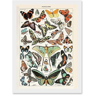 Artery8 - Millot Encyclopedia - A4 - Framed Wall Art Print Artery8 - Millot Encyclopedia - A4 - Framed Wall Art Print