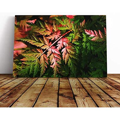 Big Box Art Canvas Print Wall Art Fern Leaves (1) Mounted and Stretched Box Frame Picture Home Decor for Kitchen, Living, Dining Room, Bedroom, Hallway, Multi-Colour, 20x14 Inch Big Box Art Canvas Print Wall Art Fern Leaves (1) Mounted and Stretched Box Frame Picture Home Decor for Kitchen, Living, Dining Room, Bedroom, Hallway, Multi-Colour, 20x14 Inch