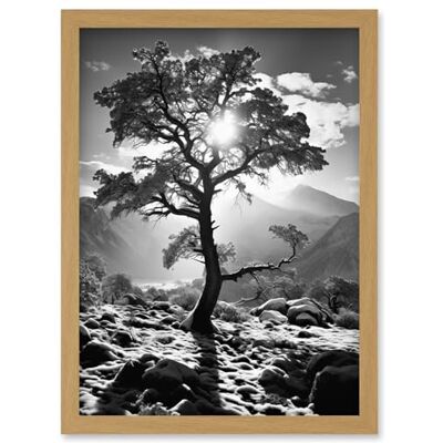 Artery8 Frozen Tree Outline in Mountain Forest Landscape Covered in Snow Black and White Photograph Winter Sunshine Artwork Framed Wall Art Print A4 Artery8 Frozen Tree Outline in Mountain Forest Landscape Covered in Snow Black and White Photograph Winter Sunshine Artwork Framed Wall Art Print A4