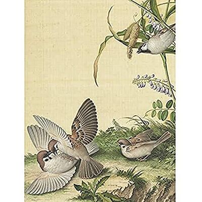 Fine Art Prints Castiglione Wisteria Plant Birds Painting Art Print Canvas Premium Wall Decor Poster Mural Fine Art Prints Castiglione Wisteria Plant Birds Painting Art Print Canvas Premium Wall Decor Poster Mural