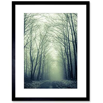 Wee Blue Coo NATURE PHOTO FOREST TREES WINTER TRACK FRAMED ART PRINT POSTER F97X11977 Wee Blue Coo NATURE PHOTO FOREST TREES WINTER TRACK FRAMED ART PRINT POSTER F97X11977