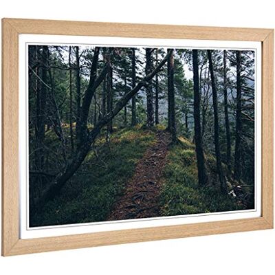 Big Box Art Framed Print of Landscape Forest Nature Design Wall Art Picture Home Decor for Kitchen, Living, Dining Room, Bedroom, Hallway, Office, Oak, A2 / 24.5x18 Inch / 62x45cm Big Box Art Framed Print of Landscape Forest Nature Design Wall Art Picture Home Decor for Kitchen, Living, Dining Room, Bedroom, Hallway, Office, Oak, A2 / 24.5x18 Inch / 62x45cm