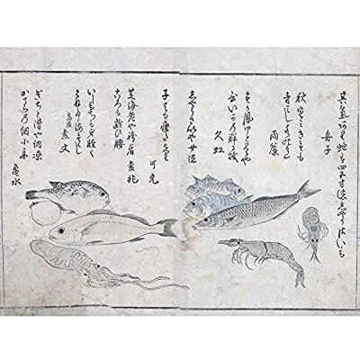 Artery8 Masayoshi Sea Animals Fish Japanese Painting Art Print Canvas Premium Wall Decor Poster Mural Artery8 Masayoshi Sea Animals Fish Japanese Painting Art Print Canvas Premium Wall Decor Poster Mural