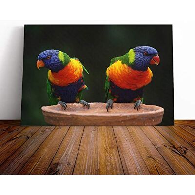 Big Box Art Rainbow Lorikeet Parrot Birds Canvas Print Gallery Wrapped 30mm Frame Wall Art 20x14 inches Ready to Hang Modern Animals Picture Living Room Bedroom Lounge Office Big Box Art Rainbow Lorikeet Parrot Birds Canvas Print Gallery Wrapped 30mm Frame Wall Art 20x14 inches Ready to Hang Modern Animals Picture Living Room Bedroom Lounge Office