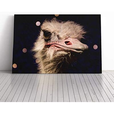 Big Box Art Canvas Print Wall Art an Ostrich Mounted and Stretched Box Frame Picture Home Decor for Kitchen, Living, Dining Room, Bedroom, Hallway, Multi-Colour, 20x14 Inch Big Box Art Canvas Print Wall Art an Ostrich Mounted and Stretched Box Frame Picture Home Decor for Kitchen, Living, Dining Room, Bedroom, Hallway, Multi-Colour, 20x14 Inch