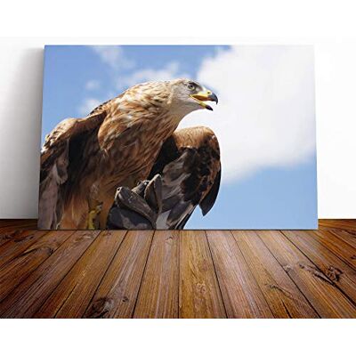 Big Box Art Golden Eagle Bird Canvas Print Gallery Wrapped 30mm Frame Wall Art 30x20 inches Ready to Hang Modern Animals Picture Living Room Bedroom Lounge Office Big Box Art Golden Eagle Bird Canvas Print Gallery Wrapped 30mm Frame Wall Art 30x20 inches Ready to Hang Modern Animals Picture Living Room Bedroom Lounge Office