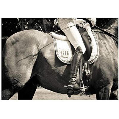 Wee Blue Coo Photo Sport Equestrian Horse Rider Detail Jockey Wall Art Print Wee Blue Coo Photo Sport Equestrian Horse Rider Detail Jockey Wall Art Print