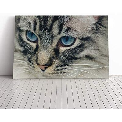 Big Box Art Cat Eyes (13) Canvas Print Gallery Wrapped 30mm Frame Wall Art 20x14 inches Ready to Hang Modern Animals Picture Living Room Bedroom Lounge Office Big Box Art Cat Eyes (13) Canvas Print Gallery Wrapped 30mm Frame Wall Art 20x14 inches Ready to Hang Modern Animals Picture Living Room Bedroom Lounge Office