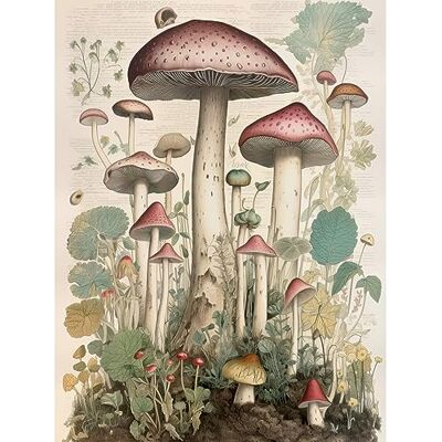 Artery8 Mushroom Fungi Botanical Page Photograph Vintage Cottagecore Rustic Aesthetic Kitchen Large Wall Art Poster Print Thick Paper 18X24 Inch Artery8 Mushroom Fungi Botanical Page Photograph Vintage Cottagecore Rustic Aesthetic Kitchen Large Wall Art Poster Print Thick Paper 18X24 Inch