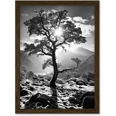 Artery8 Frozen Tree Outline in Mountain Forest Landscape Covered in Snow Black and White Photograph Winter Sunshine Artwork Framed A3 Wall Art Print Artery8 Frozen Tree Outline in Mountain Forest Landscape Covered in Snow Black and White Photograph Winter Sunshine Artwork Framed A3 Wall Art Print