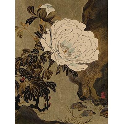 Fine Art Prints Zeshin Peonies Flower Japanese Laquer Painting Premium Wall Art Canvas Print 18X24 Inch Fine Art Prints Zeshin Peonies Flower Japanese Laquer Painting Premium Wall Art Canvas Print 18X24 Inch