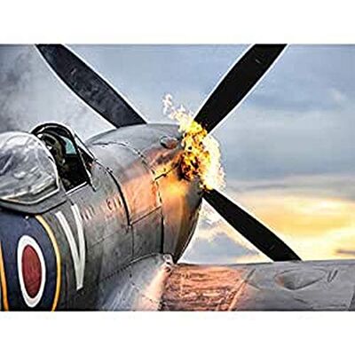 Fine Art Prints Taylor Military UK Spitfire TE311 Fighter Plane Photo Art Print Canvas Premium Wall Decor Poster Mural Fine Art Prints Taylor Military UK Spitfire TE311 Fighter Plane Photo Art Print Canvas Premium Wall Decor Poster Mural