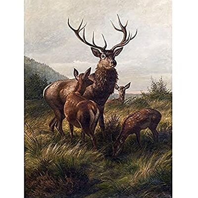 Fine Art Prints Deiker Stag Deer Antlers Doe Animal Nature Painting Unframed Wall Art Print Poster Home Decor Premium Fine Art Prints Deiker Stag Deer Antlers Doe Animal Nature Painting Unframed Wall Art Print Poster Home Decor Premium