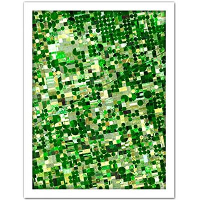 Artery8 Crops Kansas Satellite Image Photograph Artwork Framed Wall Art Print 18X24 Inch Artery8 Crops Kansas Satellite Image Photograph Artwork Framed Wall Art Print 18X24 Inch