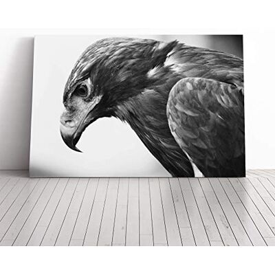 Big Box Art Eagle Bird (3) Canvas Print Gallery Wrapped 30mm Frame Wall Art 30x20 inches Ready to Hang Modern Animals Picture Living Room Bedroom Lounge Office Big Box Art Eagle Bird (3) Canvas Print Gallery Wrapped 30mm Frame Wall Art 30x20 inches Ready to Hang Modern Animals Picture Living Room Bedroom Lounge Office