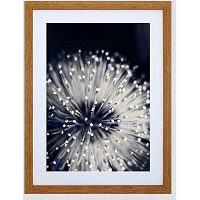 Wee Blue Coo Nature Plant Flower Black White Beautiful Framed Wall Art Print Wee Blue Coo Nature Plant Flower Black White Beautiful Framed Wall Art Print