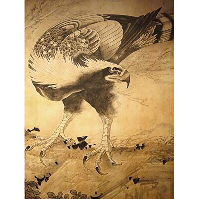 Fine Art Prints Shohaku Hawk Bird Japanese Painting Premium Wall Art Canvas Print 18X24 Inch Fine Art Prints Shohaku Hawk Bird Japanese Painting Premium Wall Art Canvas Print 18X24 Inch