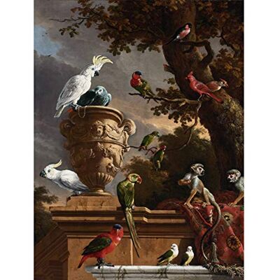 Artery8 Hondecoeter Menagerie Exotic Birds Parrots Painting Premium Wall Art Canvas Print 18X24 Inch Artery8 Hondecoeter Menagerie Exotic Birds Parrots Painting Premium Wall Art Canvas Print 18X24 Inch