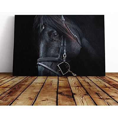 Big Box Art Black Horse Stallion Canvas Print Gallery Wrapped 30mm Frame Wall Art 24x16 inches Ready to Hang Modern Animals Picture Living Room Bedroom Lounge Office Big Box Art Black Horse Stallion Canvas Print Gallery Wrapped 30mm Frame Wall Art 24x16 inches Ready to Hang Modern Animals Picture Living Room Bedroom Lounge Office