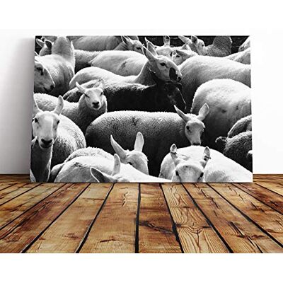 Big Box Art The Black Sheep Canvas Print Gallery Wrapped 30mm Frame Wall Art 20x14 inches Ready to Hang Modern Animals Picture Living Room Bedroom Lounge Office Big Box Art The Black Sheep Canvas Print Gallery Wrapped 30mm Frame Wall Art 20x14 inches Ready to Hang Modern Animals Picture Living Room Bedroom Lounge Office