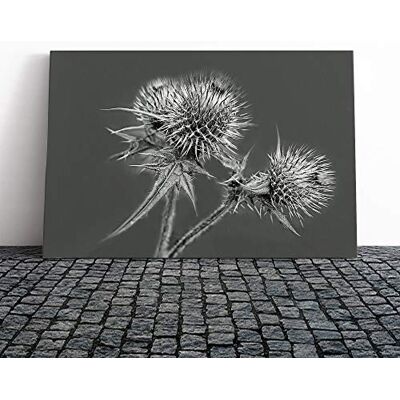 Big Box Art Canvas Print Wall Art Thistle Flower (2) Mounted and Stretched Box Frame Picture Home Decor for Kitchen, Living, Dining Room, Bedroom, Hallway, Multi-Colour, 20x14 Inch, CANVARIA5678 Big Box Art Canvas Print Wall Art Thistle Flower (2) Mounted and Stretched Box Frame Picture Home Decor for Kitchen, Living, Dining Room, Bedroom, Hallway, Multi-Colour, 20x14 Inch, CANVARIA5678