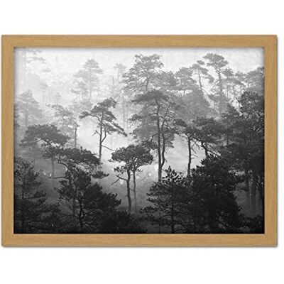 Fine Art Prints Oja Lindi Nature Reserve Estonia Forest Trees Photo Artwork Framed Wall Art Print 18X24 Inch Fine Art Prints Oja Lindi Nature Reserve Estonia Forest Trees Photo Artwork Framed Wall Art Print 18X24 Inch