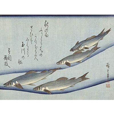 Artery8 Hiroshige Trout Animals Fish Japanese Unframed Wall Art Print Poster Home Decor Premium Artery8 Hiroshige Trout Animals Fish Japanese Unframed Wall Art Print Poster Home Decor Premium