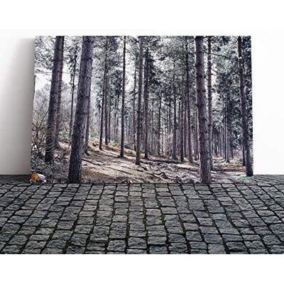 Big Box Art Canvas Print Wall Art Landscape Conifer Forest Wood Mounted and Stretched Box Frame Picture Home Decor for Kitchen, Living, Dining Room, Bedroom, Hallway, Multi-Colour, 20x14 Inch Big Box Art Canvas Print Wall Art Landscape Conifer Forest Wood Mounted and Stretched Box Frame Picture Home Decor for Kitchen, Living, Dining Room, Bedroom, Hallway, Multi-Colour, 20x14 Inch