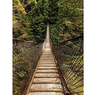 Fine Art Prints Delso Lynn Canyon Suspension Bridge Canada Photo Art Print Canvas Premium Wall Decor Poster Mural Fine Art Prints Delso Lynn Canyon Suspension Bridge Canada Photo Art Print Canvas Premium Wall Decor Poster Mural