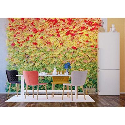 AG Design Photo Wall Mural Non woven Leaves Giant Wall Poster – 360x270 cm/142x106 inches 4 Parts FTNS 1261 AG Design Photo Wall Mural Non woven Leaves Giant Wall Poster – 360x270 cm/142x106 inches 4 Parts FTNS 1261