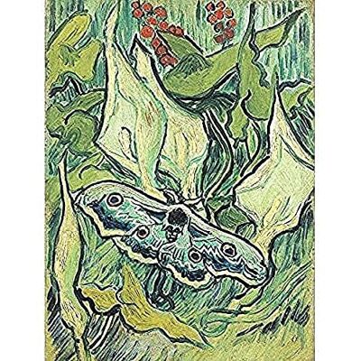 Fine Art Prints Vincent Van Gogh Emperor Moth Art Print Canvas Premium Wall Decor Poster Mural Fine Art Prints Vincent Van Gogh Emperor Moth Art Print Canvas Premium Wall Decor Poster Mural