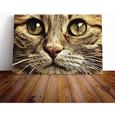 Big Box Art Cat Eyes Canvas Print Gallery Wrapped 30mm Frame Wall Art 24x16 inches Ready to Hang Modern Animals Picture Living Room Bedroom Lounge Office Big Box Art Cat Eyes Canvas Print Gallery Wrapped 30mm Frame Wall Art 24x16 inches Ready to Hang Modern Animals Picture Living Room Bedroom Lounge Office