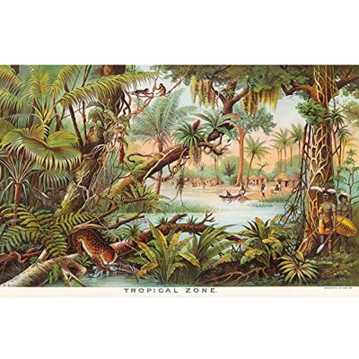 Artery8 Map Yaggy 1893 Tropical Zone Jungle Animals Art Print Canvas Premium Wall Decor Poster Mural Artery8 Map Yaggy 1893 Tropical Zone Jungle Animals Art Print Canvas Premium Wall Decor Poster Mural