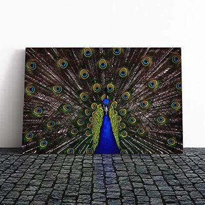 Big Box Art Canvas Print Wall Art Peacock Mounted and Stretched Box Frame Picture Home Decor for Kitchen, Living, Dining Room, Bedroom, Hallway, Multi-Colour, 20x14 Inch Big Box Art Canvas Print Wall Art Peacock Mounted and Stretched Box Frame Picture Home Decor for Kitchen, Living, Dining Room, Bedroom, Hallway, Multi-Colour, 20x14 Inch