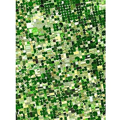 Artery8 Crops Kansas Satellite Image Photograph Unframed Wall Art Print Poster Home Decor Premium Artery8 Crops Kansas Satellite Image Photograph Unframed Wall Art Print Poster Home Decor Premium