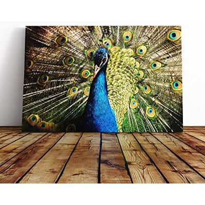 Big Box Art Peacock Bird Vol.5 Canvas Print Gallery Wrapped 30mm Frame Wall Art 20x14 inches Ready to Hang Modern Animals Picture Living Room Bedroom Lounge Office Big Box Art Peacock Bird Vol.5 Canvas Print Gallery Wrapped 30mm Frame Wall Art 20x14 inches Ready to Hang Modern Animals Picture Living Room Bedroom Lounge Office