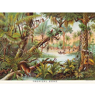 Artery8 Map Yaggy 1893 Tropical Zone Jungle Animals Unframed Wall Art Print Poster Home Decor Premium Artery8 Map Yaggy 1893 Tropical Zone Jungle Animals Unframed Wall Art Print Poster Home Decor Premium
