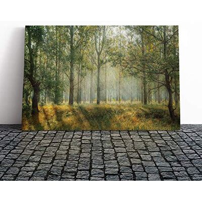 Big Box Art Landscape Forest Woodland View in The Spring Canvas Print 30x20 Inch Wall Art, Ready to Hang, Gallery Wrapped, Fade-Resistant Inks, Securely Packaged, UK Made Big Box Art Landscape Forest Woodland View in The Spring Canvas Print 30x20 Inch Wall Art, Ready to Hang, Gallery Wrapped, Fade-Resistant Inks, Securely Packaged, UK Made